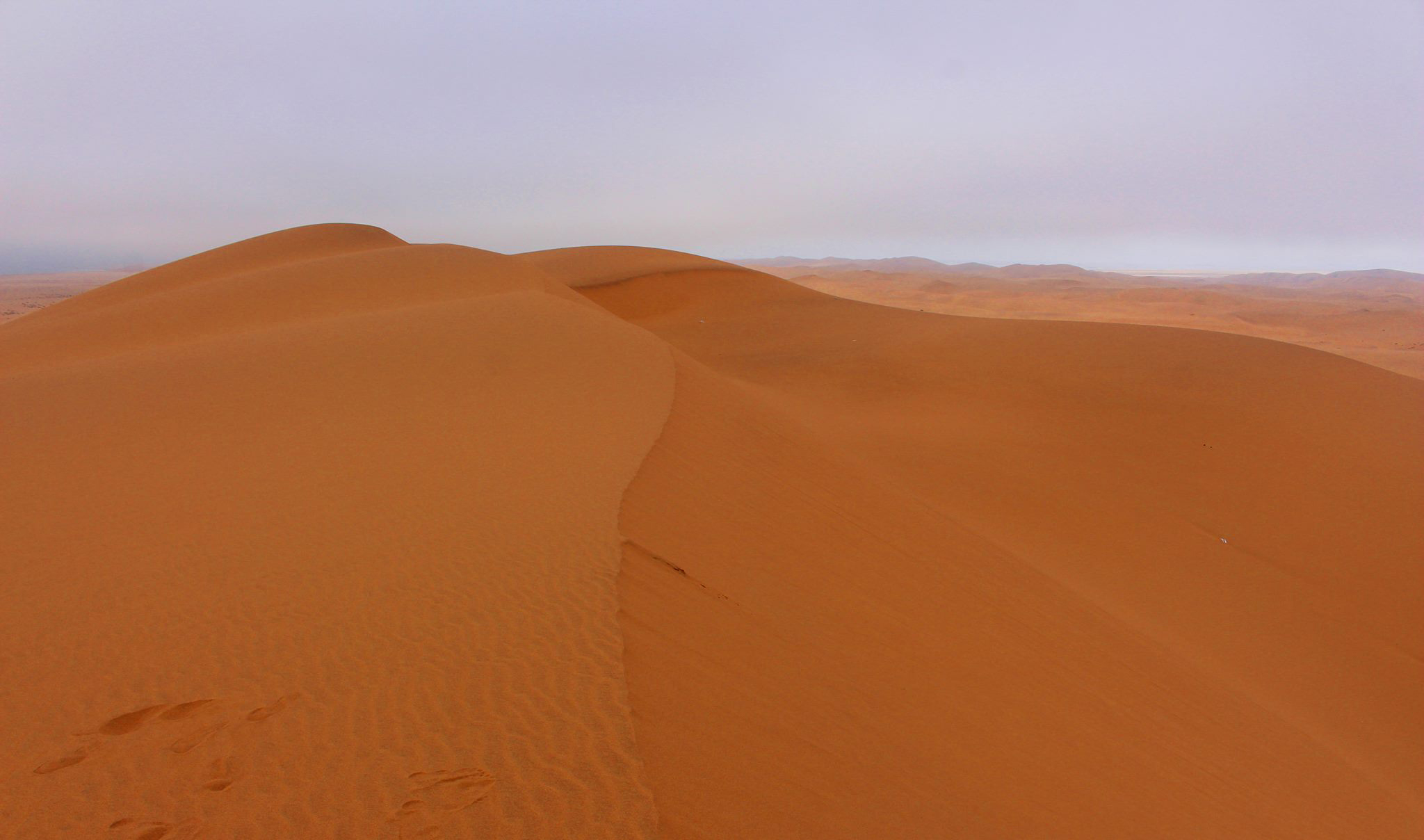 13198552_835715806561795_1905272095748650407_o